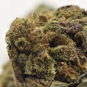 (NEW) Citrus Delight 🍋 ($50/Oz)