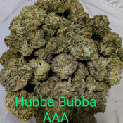 HUBBA BUBBA AAA+