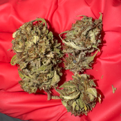 Blue Dream • Sativa • 20–24% THC • MEGA VALUE • 1 OZ $20 • 2 OZ $35 • 4 OZ $60 thumbnail 3
