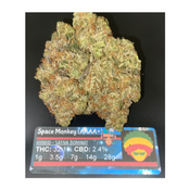 ****NEW*** SPACE MONKEY (AAAA+)