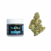 Platinum Blue Dream