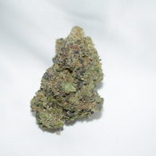 Blackfin Tuna Indica Dominant Hybrid AAAA+