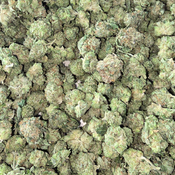 ASTRO PINK GAS 70OZ 2FOR130 4FOR250 thumbnail 3