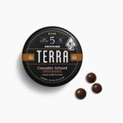  Terra Bites - Edibles - Dark Chocolate Espresso - 100MG