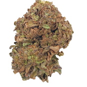 BC (AAA) JUNGLE MINTS thumbnail 4