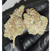 Greasy Pink 6A😮‍💨 **$90 h/o**