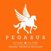 Pegasus “Fly High Fly Pure”