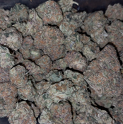 🌫️🌿 Platinum Amnesia AAA+ 💎 - | 2oz’s FOR $170 | SATIVA |