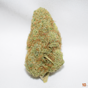 Exodus Cheese Sativa Dom Hybrid AAA