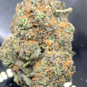  Skelly Hash Plant High Grade [ bogo Buy 1 oz and get 1/4 for free ]