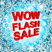Flash SALE