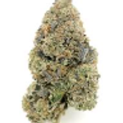 Flower Power Premium Cannabis – 7g AAAA+