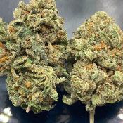 *NEW* Pink Tuna [ Bogo 200$ for 3 oz get 1 oz FREE ]