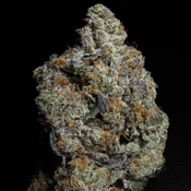 [NEW] Pink Diablo AAAA *2OZ 270*
