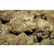 Wedding Gelato  thumbnail 3