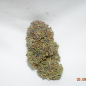 Alien Dawg Indica Dominant Hybrid AAA