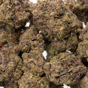 Pink Kush Panties - 2oz @ $180, 4oz @ $350