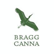 Bragg Canna - Pearl