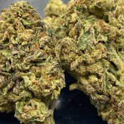 * NEW * Monster Cookies