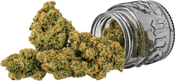 Jack | 3.5g