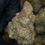 Cactus Jack 🌵28-30% THC $100 an oz, $150 for 2 ozs thumbnail 2