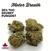 ( $100 OZ x QUAD ) MOTOR BREATH | 2 OZ $160