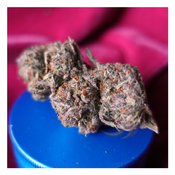 *NEW* Gorilla Glue #4 (7g-$50/14g-$75/28g-$140)(29% THC) thumbnail 3