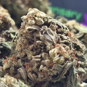 (NEW) O.G 🔥 ($50/oz Two for $85) 🔥   thumbnail 2