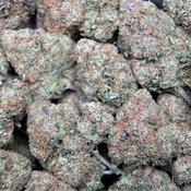 (28G) - BC Alien Cream Cake 👽⛽Hybrid | 2Oz Bulk Deal for $250 thumbnail 4