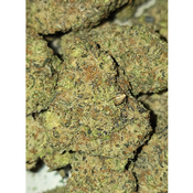 0R30  ***SALE***1000Z 2FOR180 4FOR340 thumbnail 2