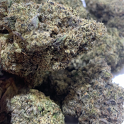 (NEW) Khalifa Mintz  ***Sale $110oz***