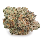 BC 4A Ghost OG | 14g 60$ – 28g 95$ – (GAS)