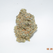 GMO Cookies Indica Dominant Hybrid AAAA 