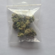 !Samples