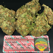 *********NEW $70/OZ* Candy Cane (AAA) THC: 28% CBD: 1.0%