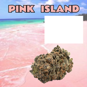 Pink Island