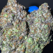 [NEW] LSO Rockstar Pink AAAA+