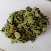 Blueberry Kush (AAA+)