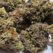 (NEW 📢) Pink Paradise 🏝🍹  thumbnail 3