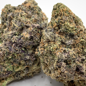 *NEW* Cheese Quake + 1/4OZ Free