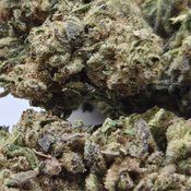 (NEW) White Slushie 🧉 ($80/Oz) 🔥 thumbnail 2