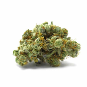 GMO Cookies AA+++