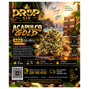 AAAA+ Acapulco Gold (2 oz - 140$)