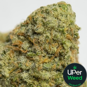 (28G) - Pie hoe 🥧🤠 Indica  - 2Oz Bulk Deal for $230