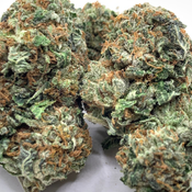 *New* Pink Champagne 3A 