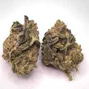 *NEW* Purple Queen 3A 