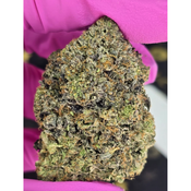Denver Diamonds
