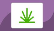 VIP Cannabis Company - Cambridge 304 St Andrews
