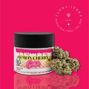 Flora Terra | Lemon Cherry Gelato | 3.5g Flower