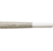 0.5g Bubble Hash & Live Rosin Infused House Roulette Pre Roll Joint - Limited Edition